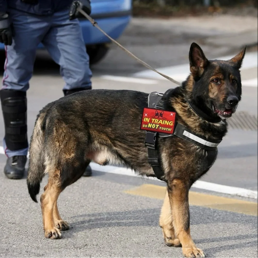 Service Dog Patch Set 9 pcs dog patches for harness in different styles - Picture 7 of 7